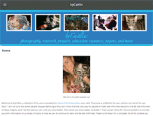 Tablet Screenshot of bycaitlin.com